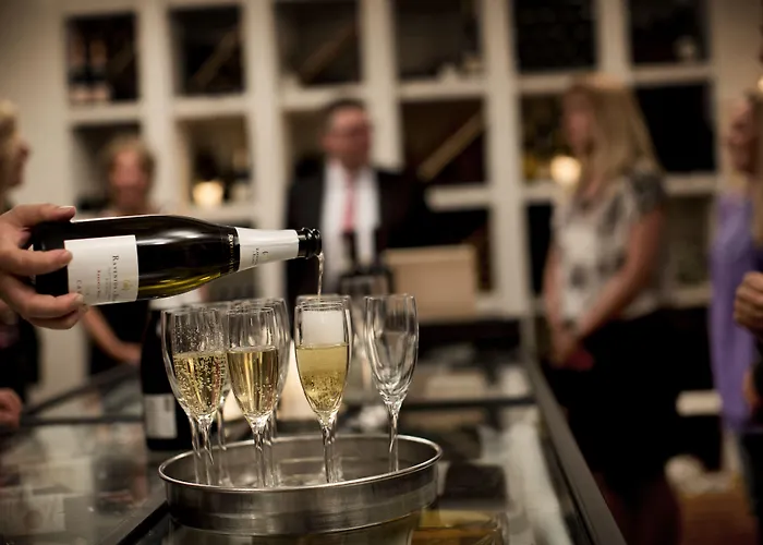 מלון Koldingfjord 4*